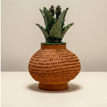 Piña Natural G
