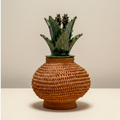 Piña Natural G